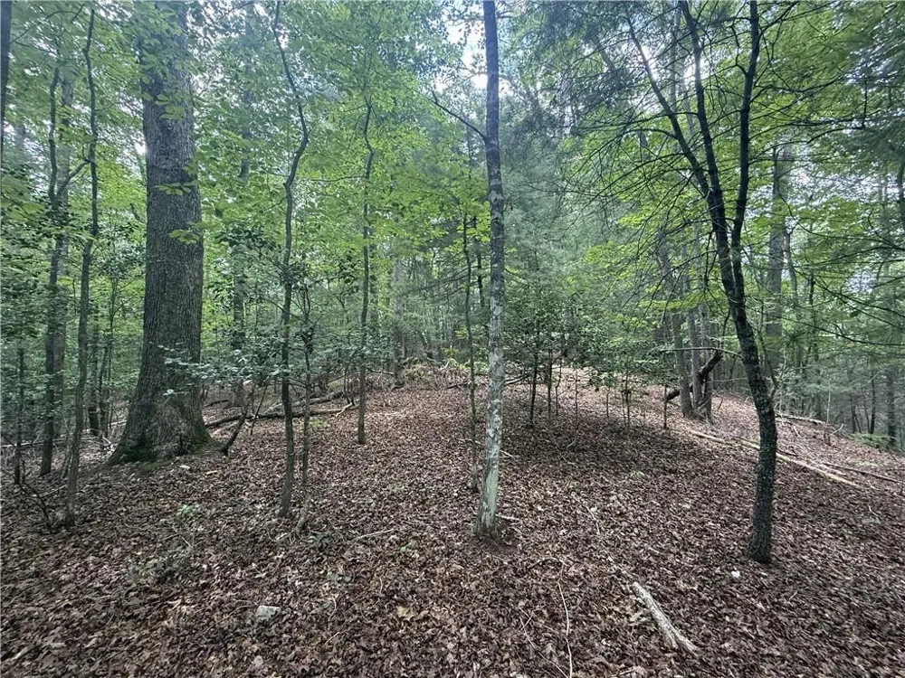 0 Yahoola Indian Road Dahlonega, GA 30533
