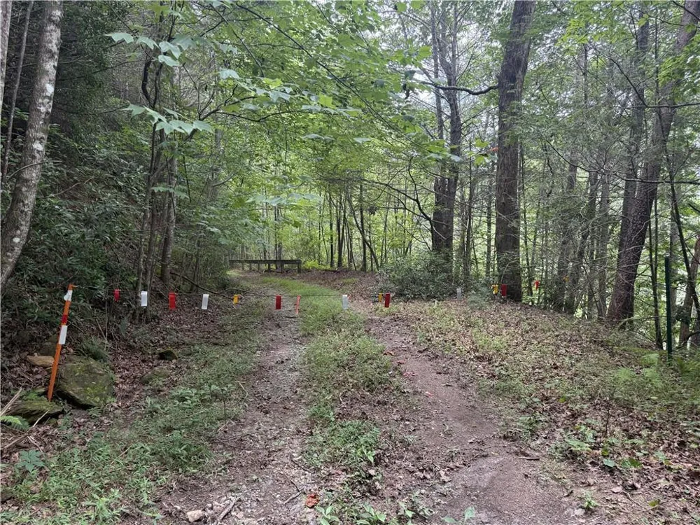 0 Yahoola Indian Road Dahlonega, GA 30533