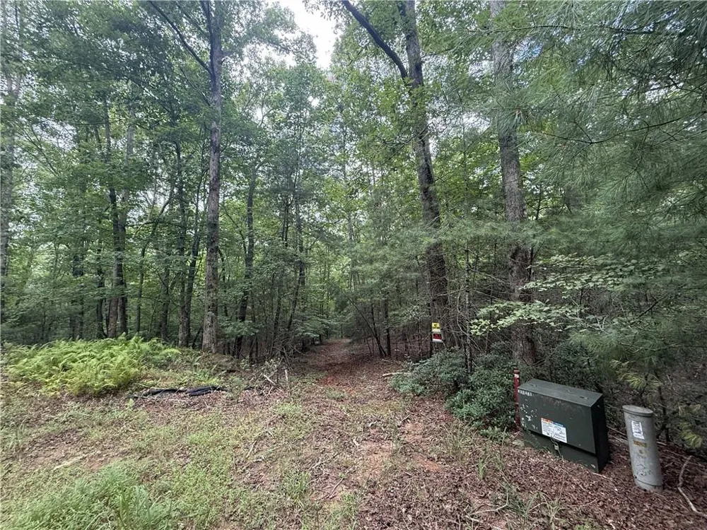 0 Yahoola Indian Road Dahlonega, GA 30533