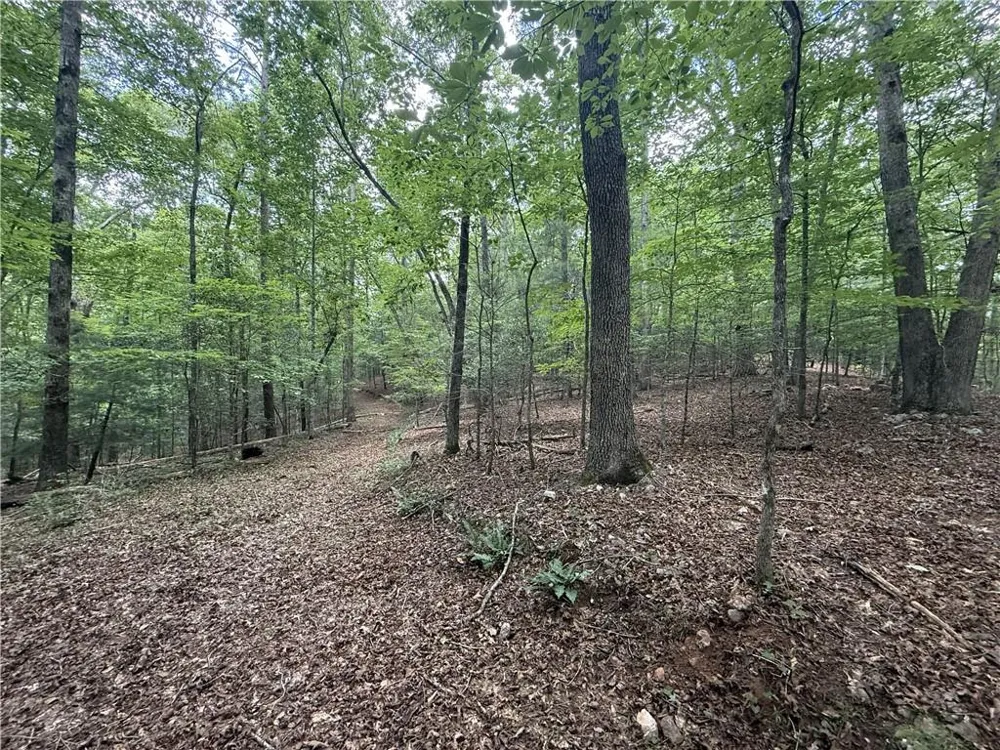 0 Yahoola Indian Road Dahlonega, GA 30533