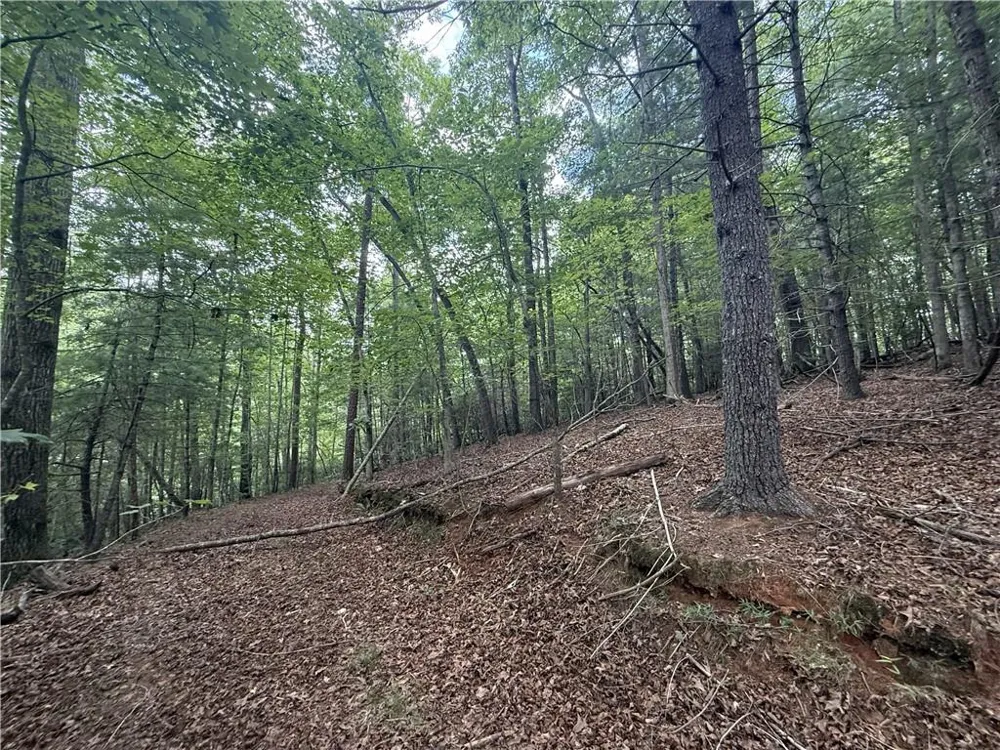 0 Yahoola Indian Road Dahlonega, GA 30533