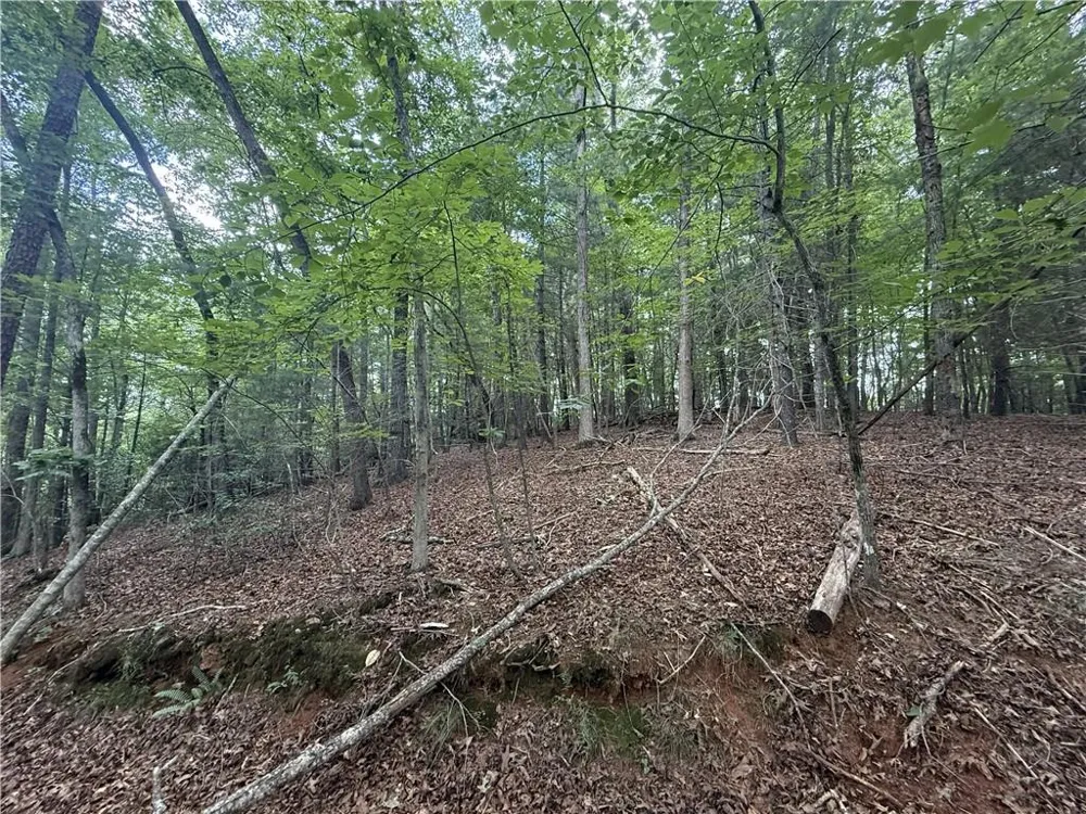 0 Yahoola Indian Road Dahlonega, GA 30533