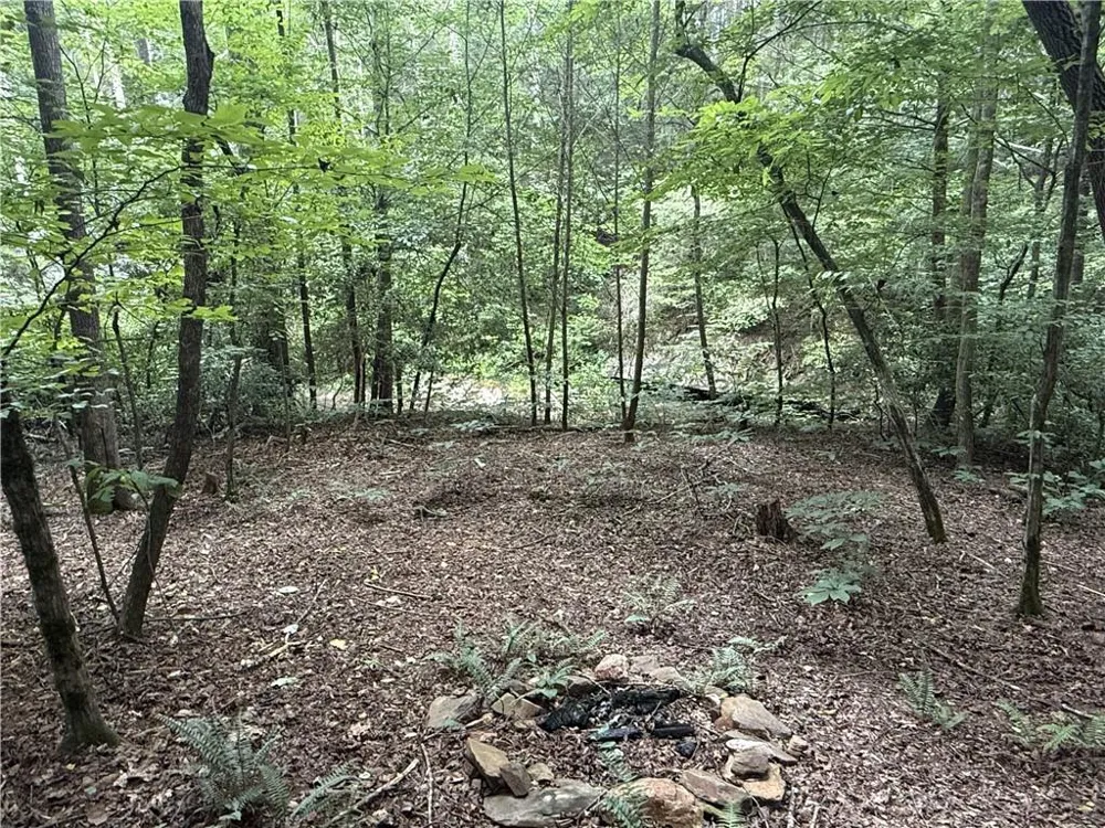 0 Yahoola Indian Road Dahlonega, GA 30533