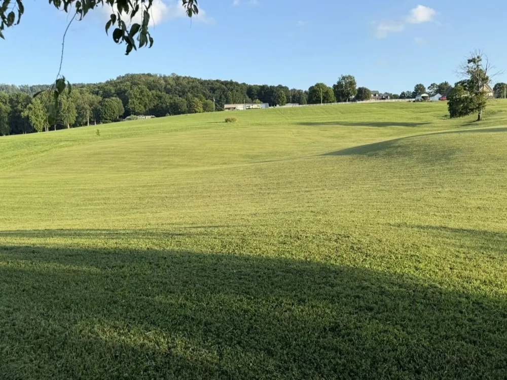 215 Harper Ln McMinnville, TN 37110