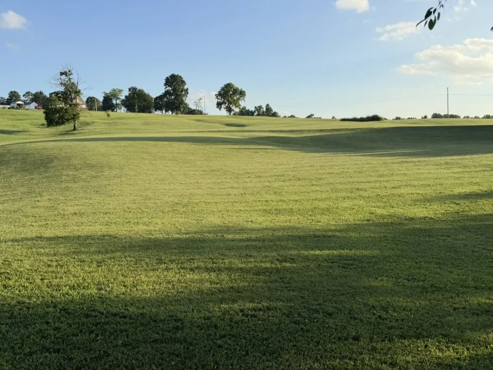215 Harper Ln McMinnville, TN 37110