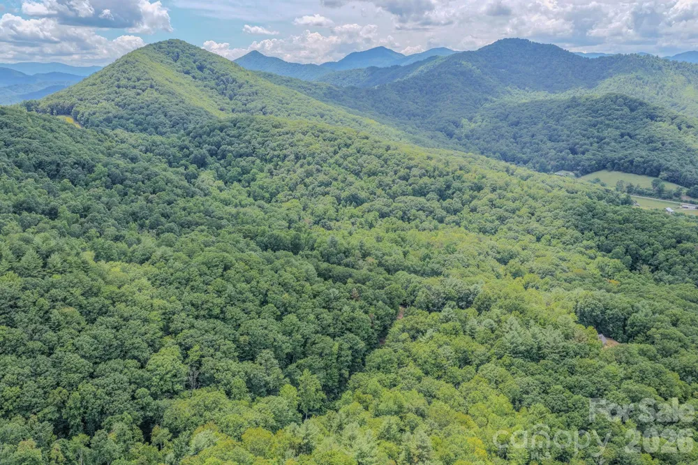 23 Tom Worley Road Leicester, NC 28748