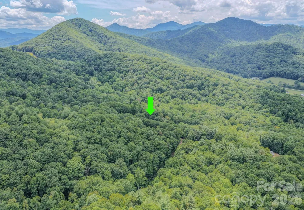 23 Tom Worley Road Leicester, NC 28748