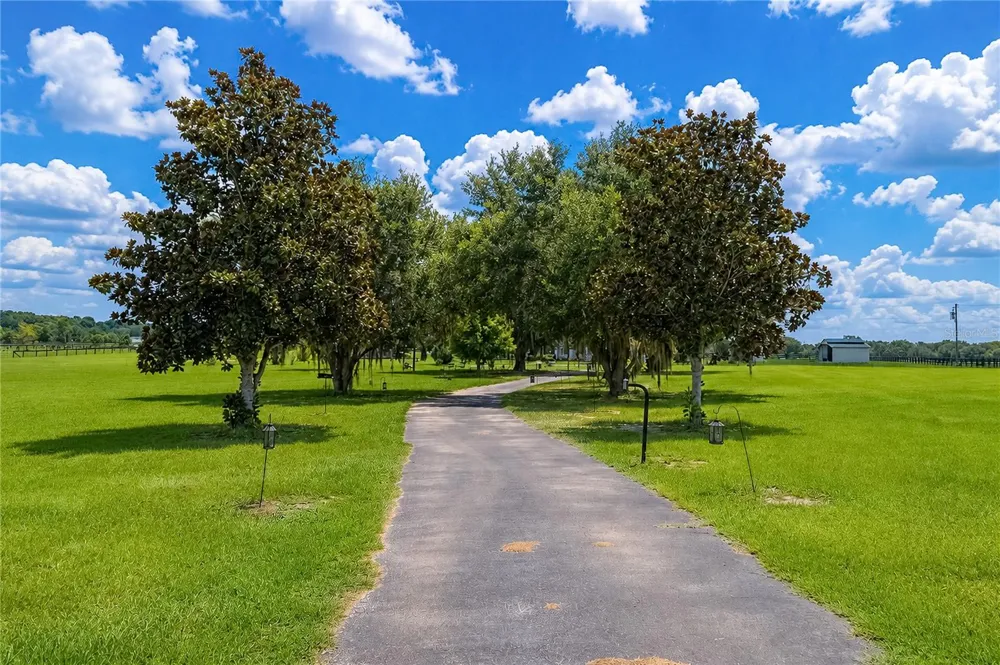 12345 NE 14TH AVENUE Anthony, FL 32617