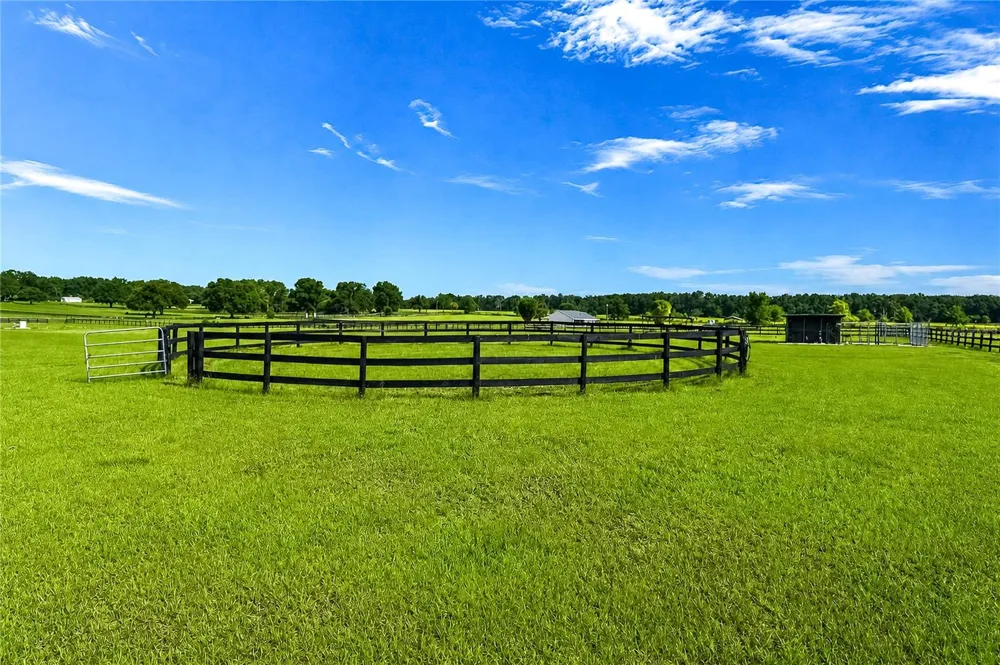 12345 NE 14TH AVENUE Anthony, FL 32617