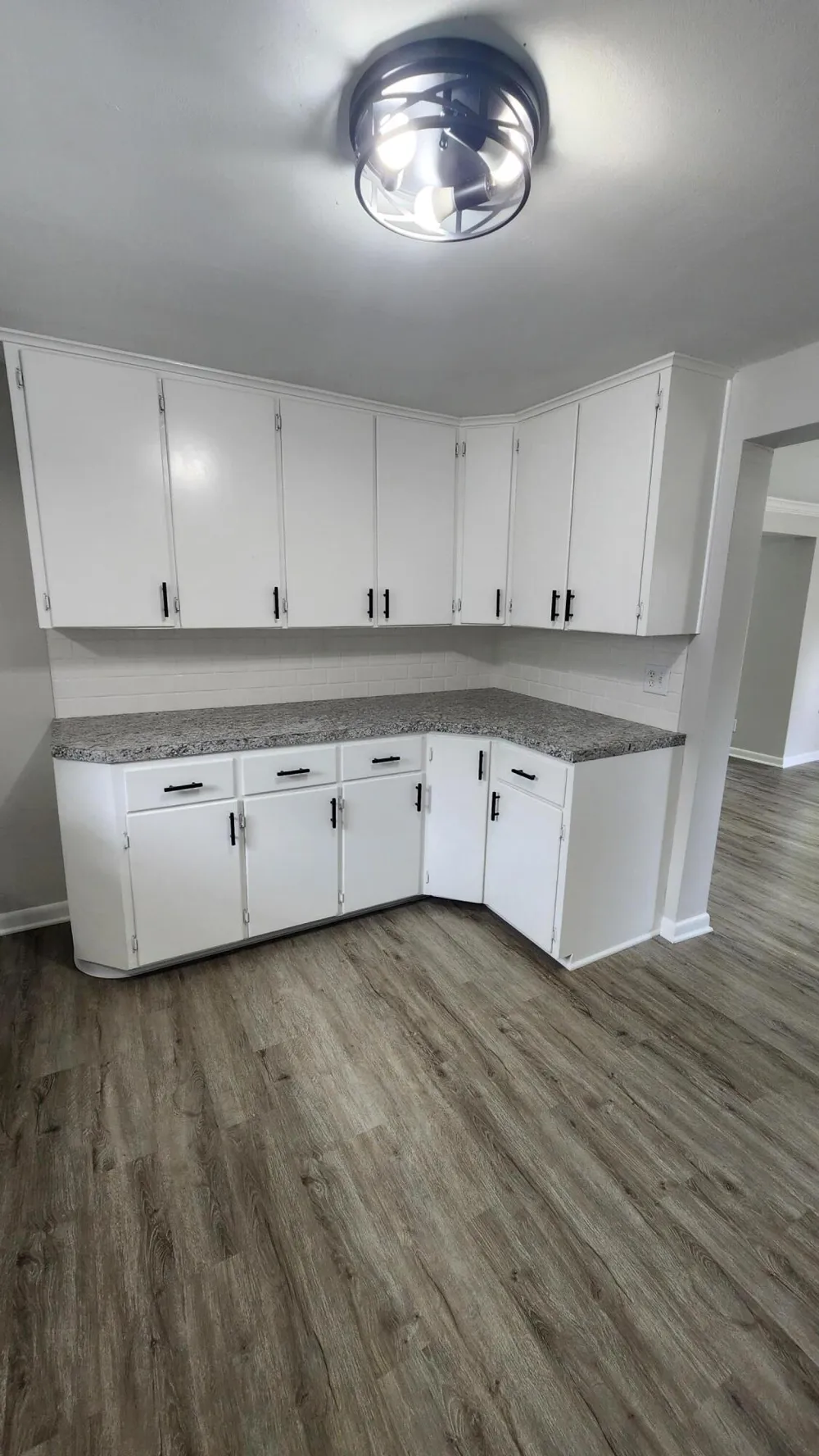 436 E Marshall Street Hastings, MI 49058