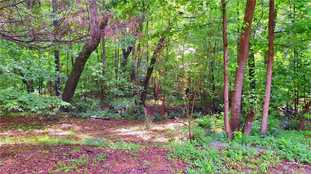 342 Spears Road Mansfield, GA 30055