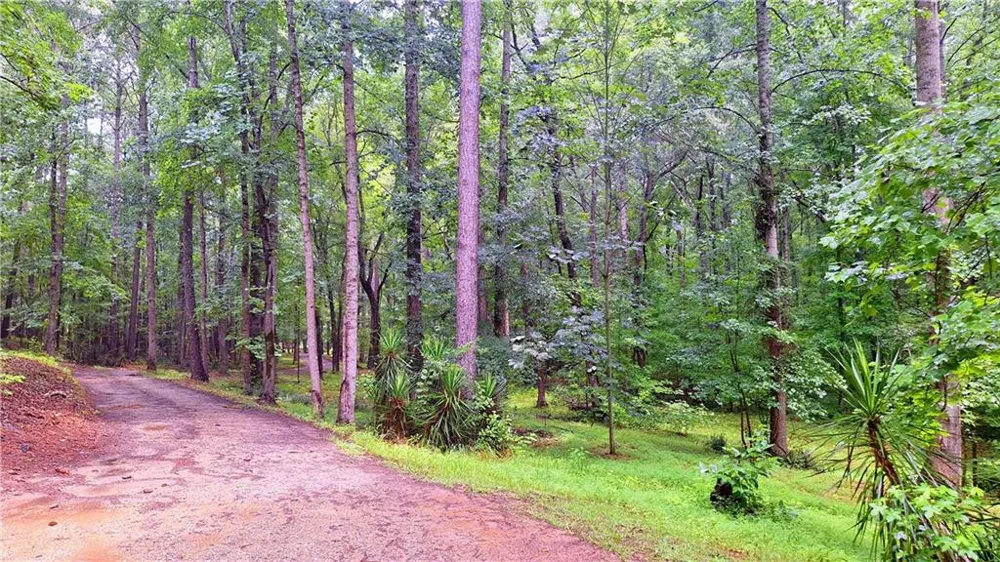 342 Spears Road Mansfield, GA 30055