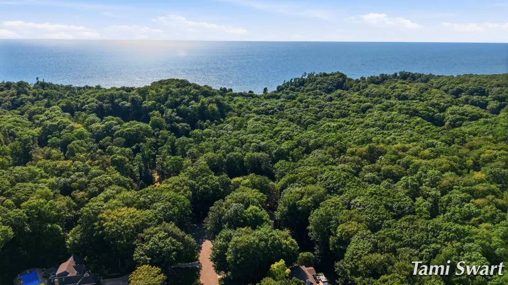 17565 Beech Hill Drive Grand Haven, MI 49417