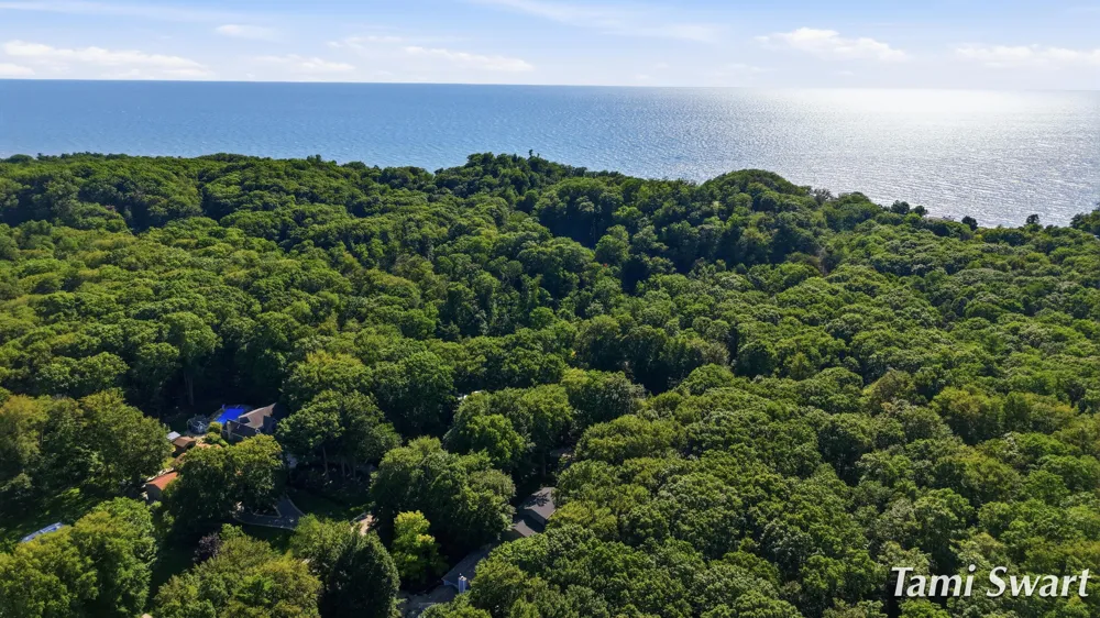 17565 Beech Hill Drive Grand Haven, MI 49417