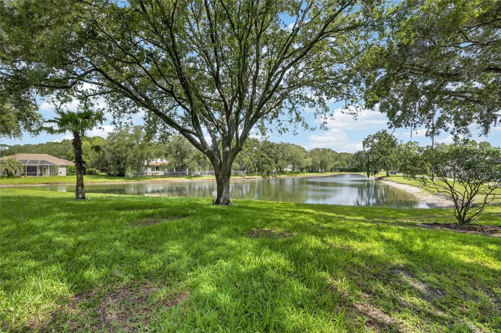 7508 DUNBRIDGE DRIVE Odessa, FL 33556