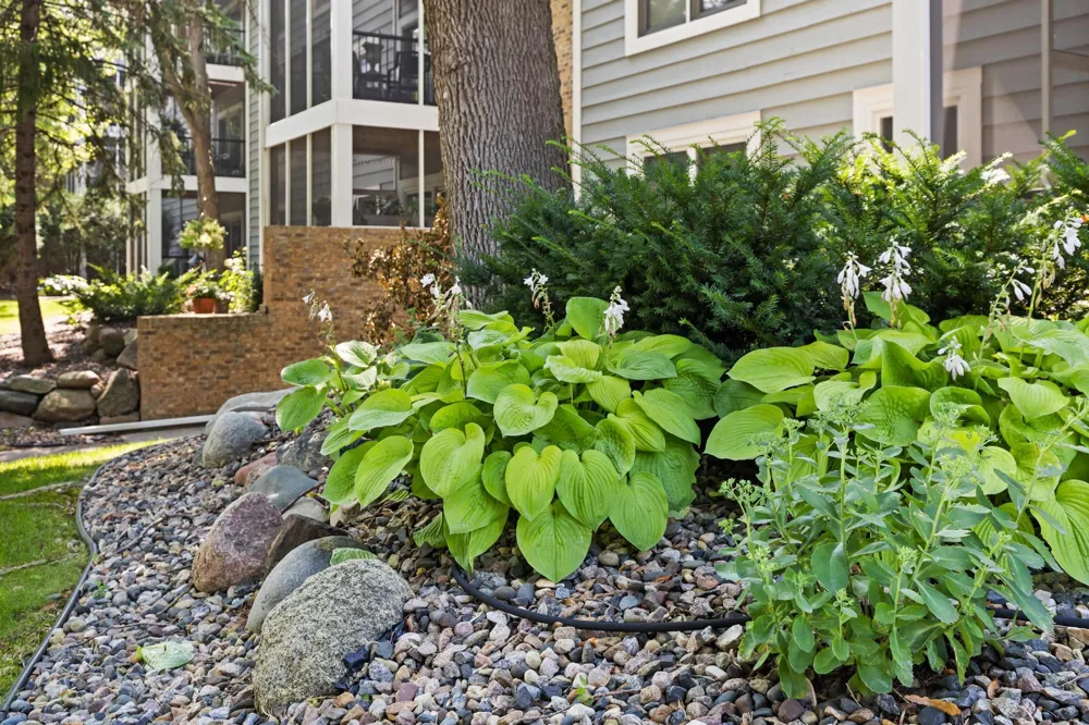 3000 Saint Albans Mill Road #103 Hopkins, MN 55305