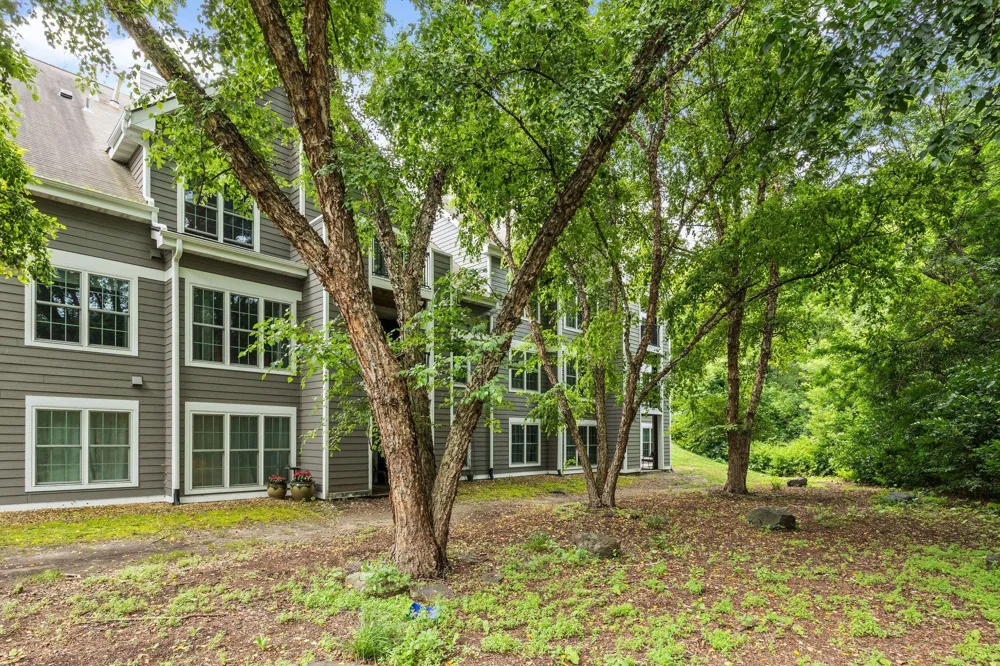 6010 Chasewood Parkway #205 Minnetonka, MN 55343