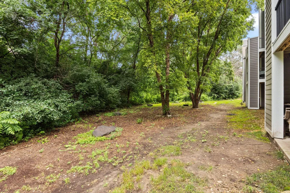 6010 Chasewood Parkway #205 Minnetonka, MN 55343