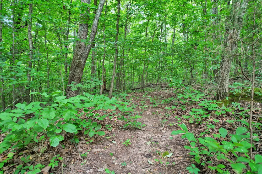 4500 Waterlevel Highway Cleveland, TN 37323