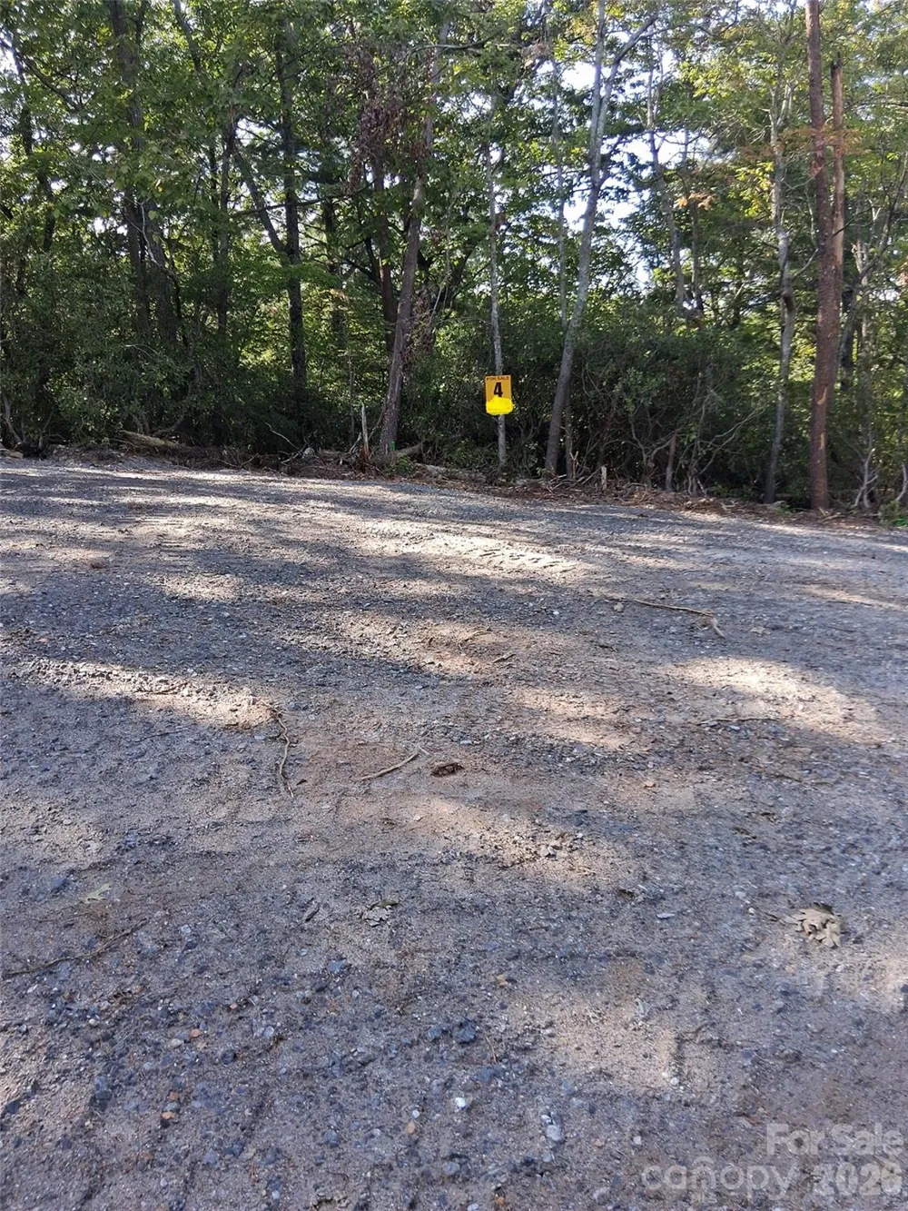 tbd Gus Peeler Road #2 Connelly Springs, NC 28612