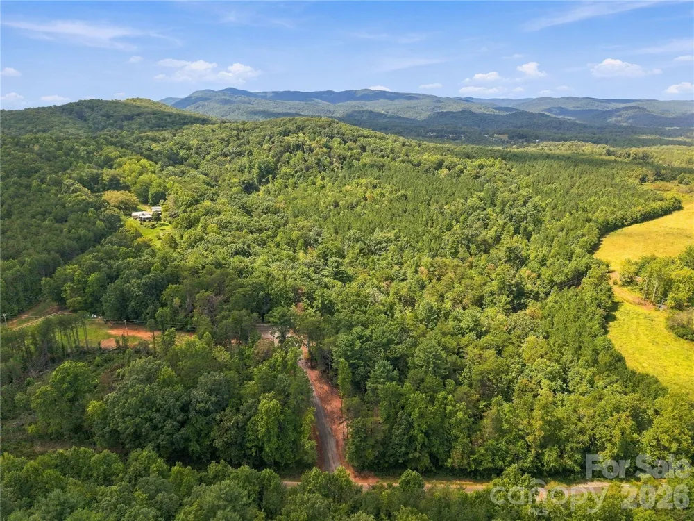 tbd Gus Peeler Road #4 Connelly Springs, NC 28612