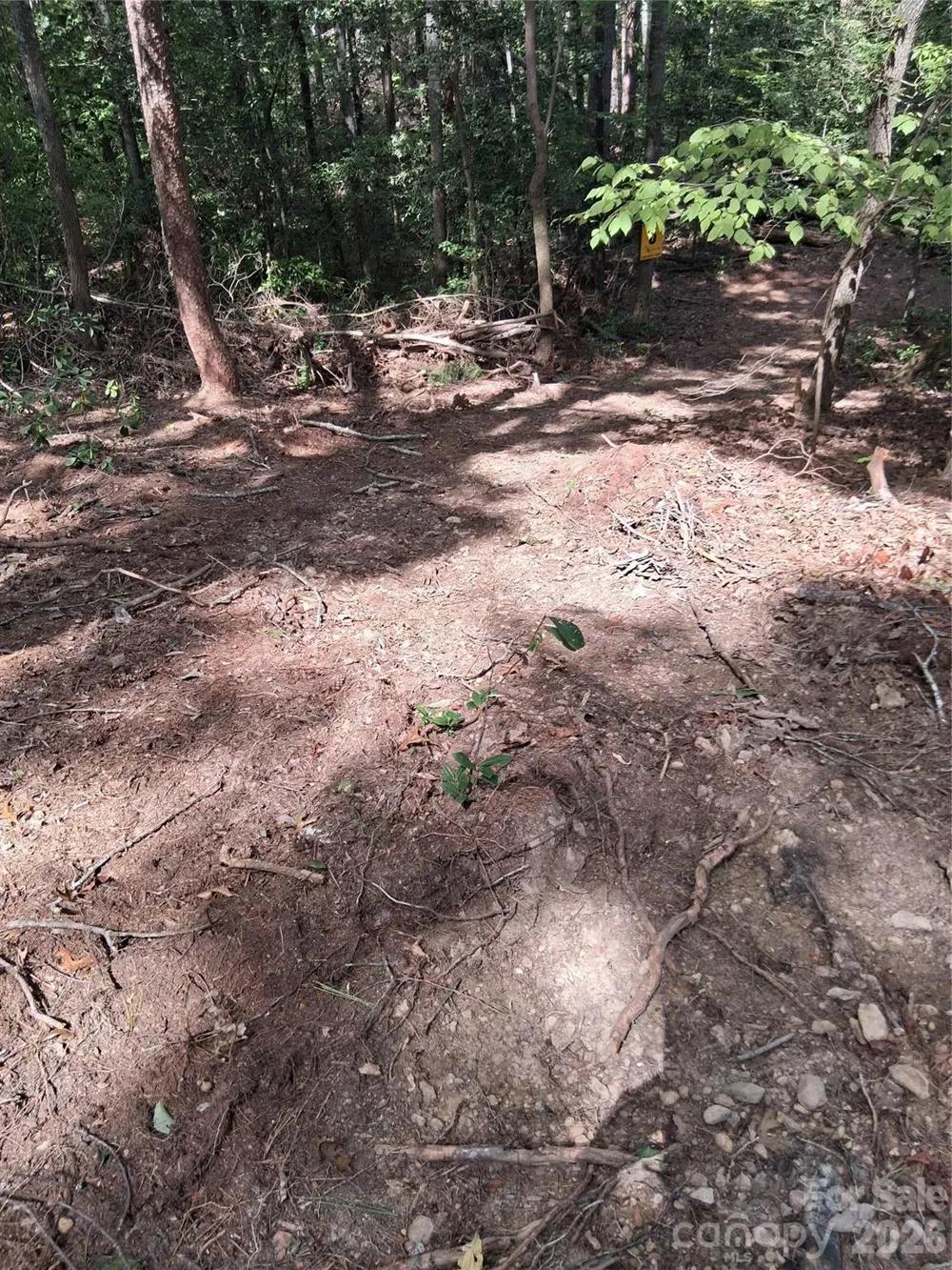 tbd Gus Peeler Road #4 Connelly Springs, NC 28612