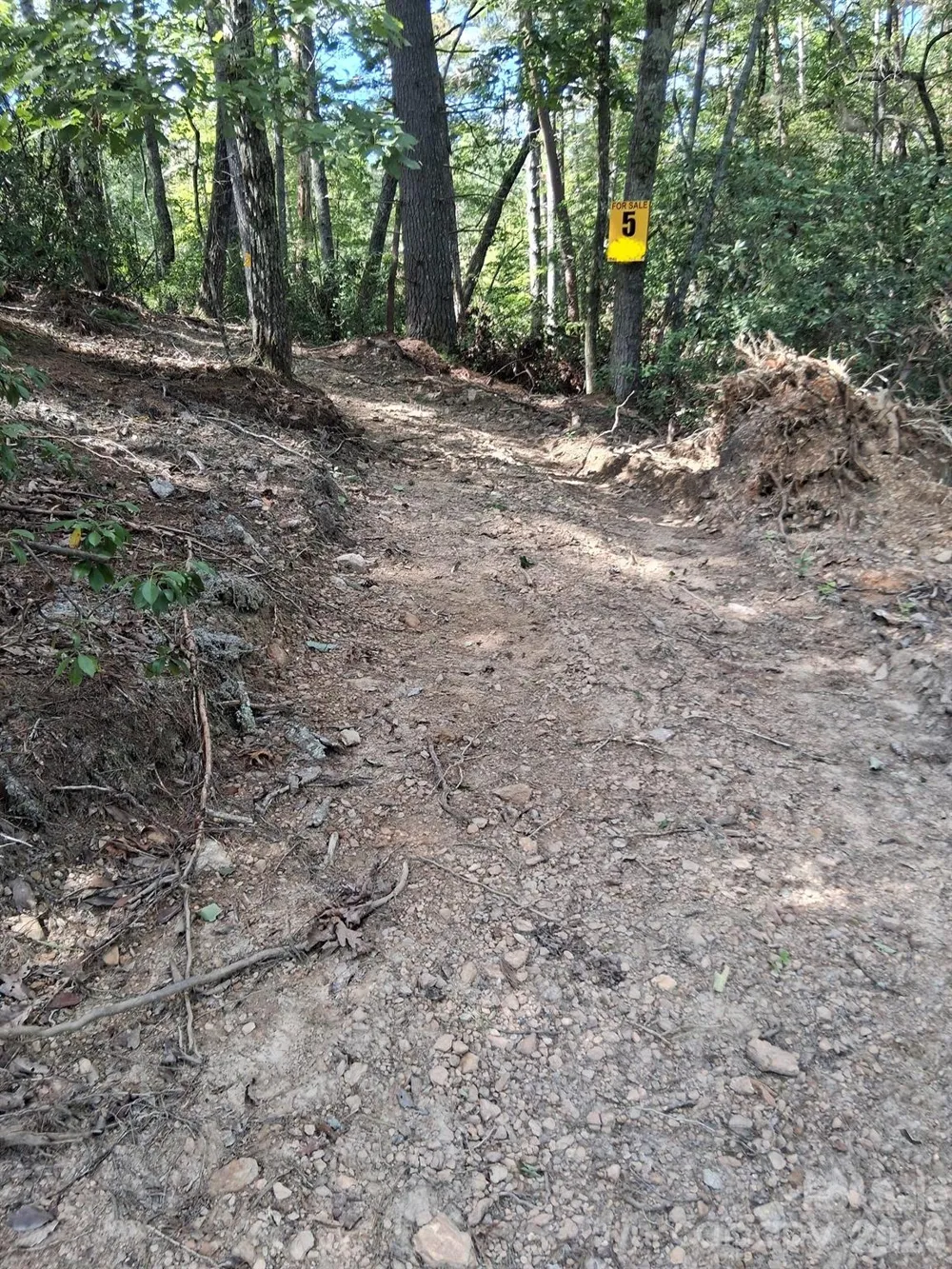 tbd Gus Peeler Road #4 Connelly Springs, NC 28612