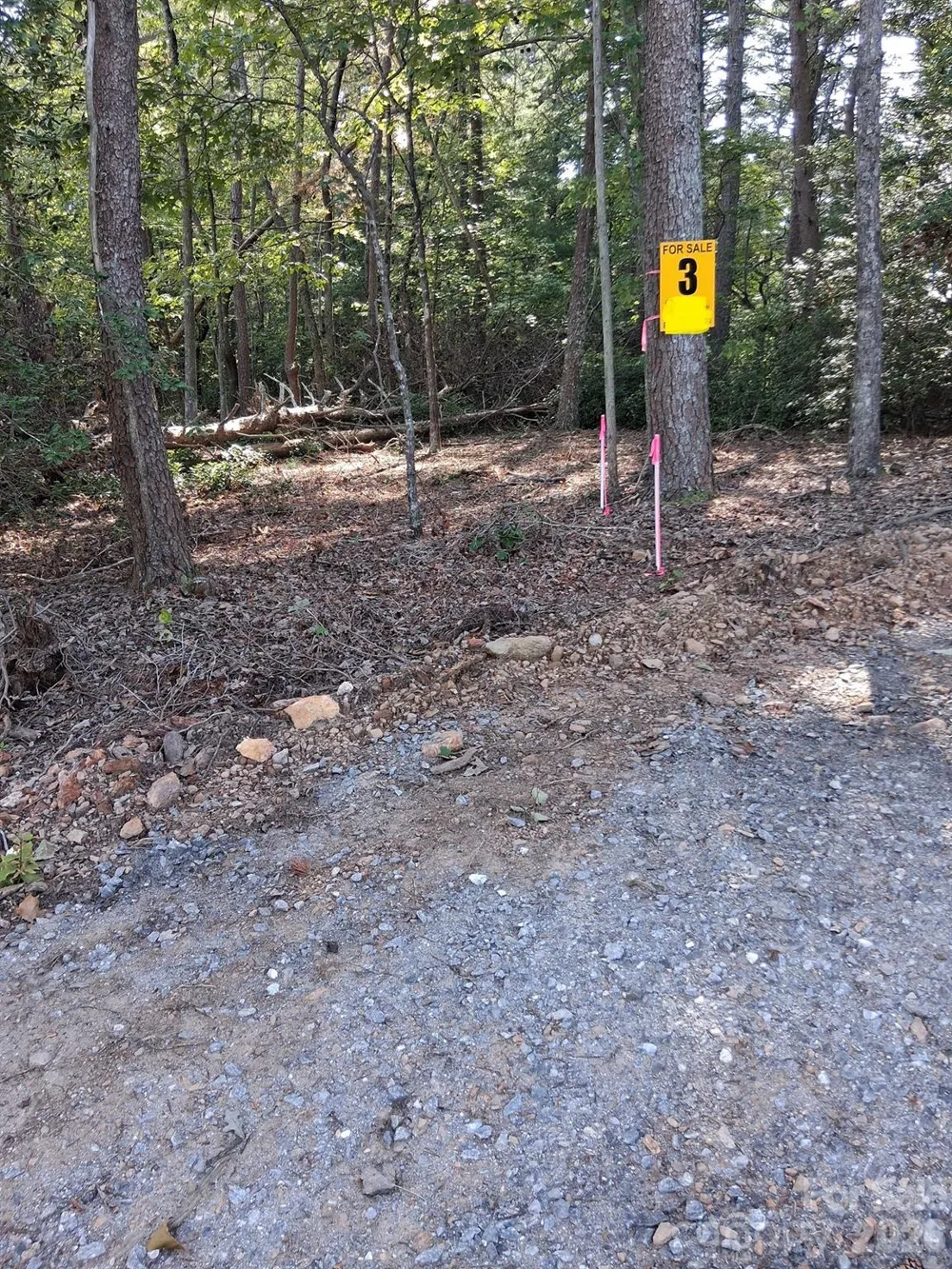 tbd Gus Peeler Road #6 Connelly Springs, NC 28612