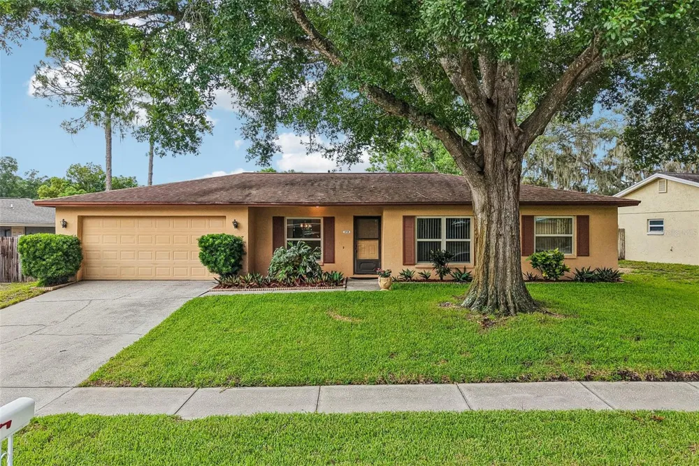 3718 SAND PEBBLE DRIVE Valrico, FL 33596