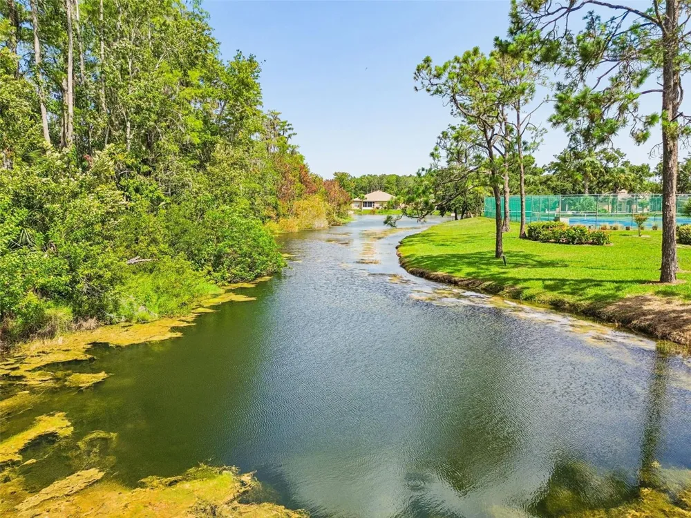 12154 PUTTER GREEN COURT New Port Richey, FL 34654