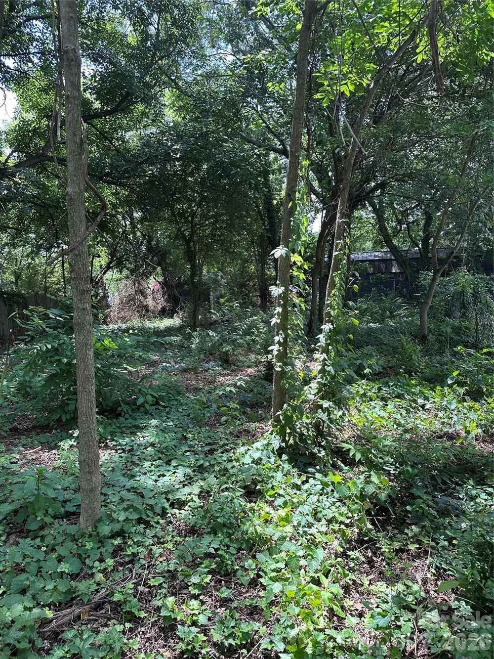 499 Leonard Road Lexington, NC 27295