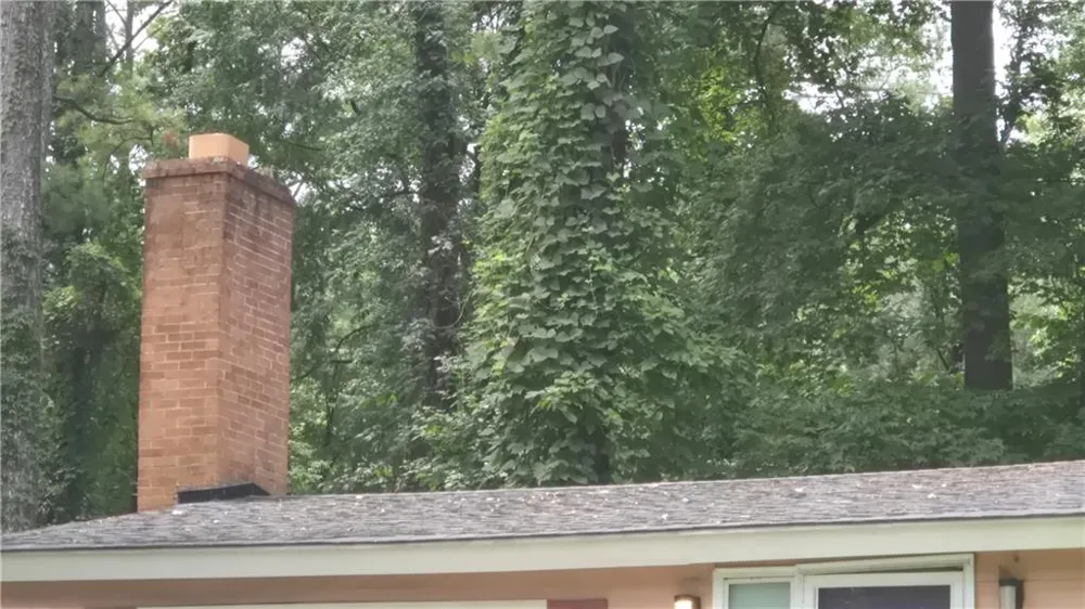 3591 Pine Forest Drive SE Atlanta, GA 30354