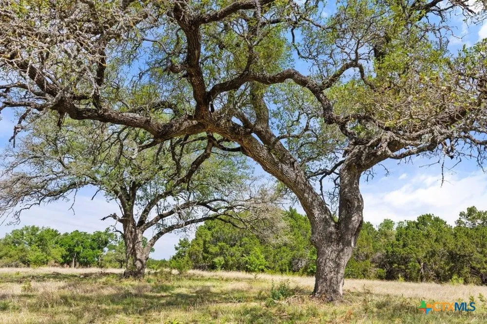 4772 County Road 340 Burnet, TX 78611