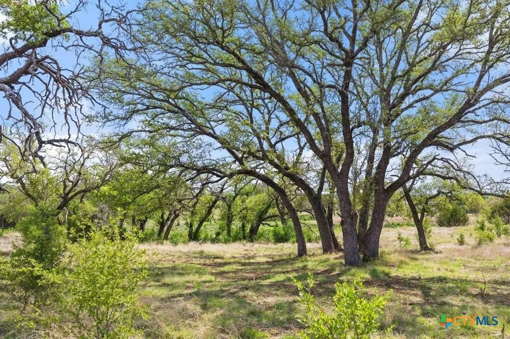 4772 County Road 340 Burnet, TX 78611