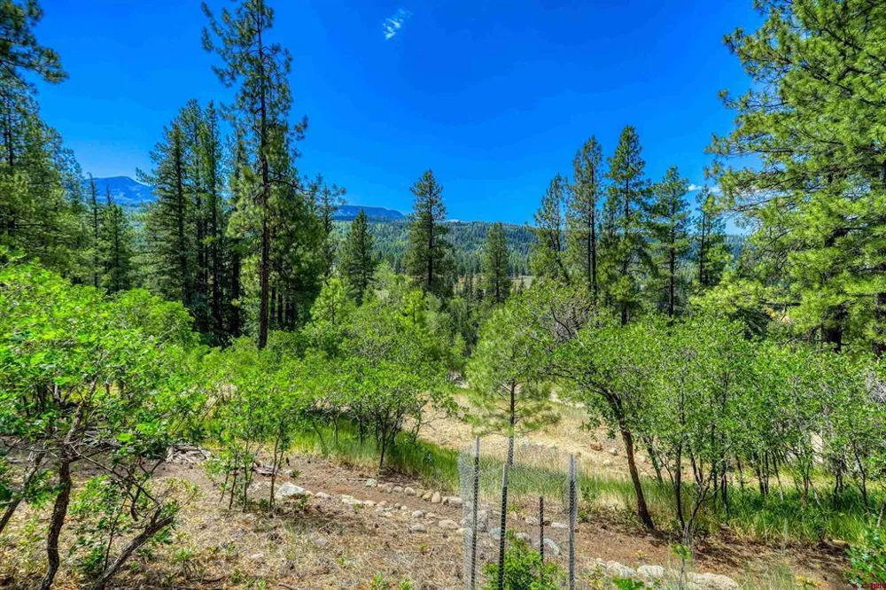 383 Crossroads Drive Pagosa Springs, CO 81147