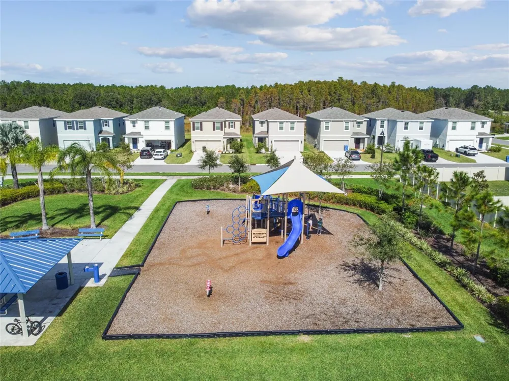 15990 TUSCANY HILLSIDE ROAD Odessa, FL 33556