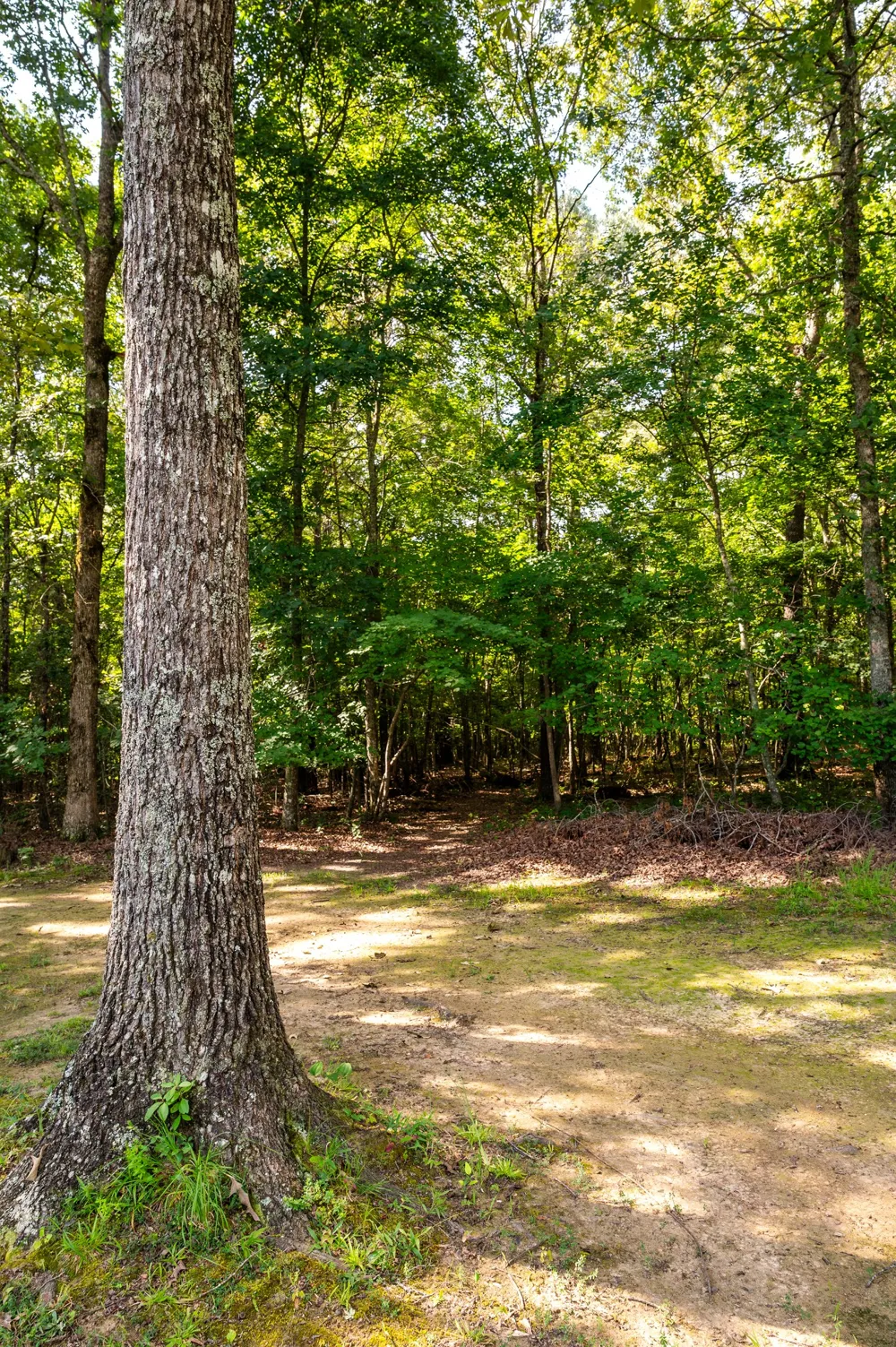 1012 Bonner Way Estill Springs, TN 37330