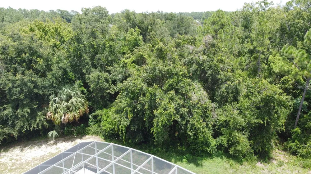 468 PINEWOOD DR Davenport, FL 33896