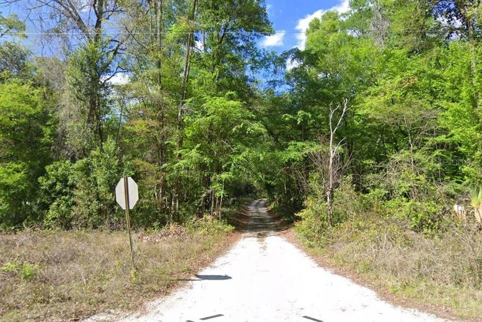 676TH LANE Old Town, FL 32680