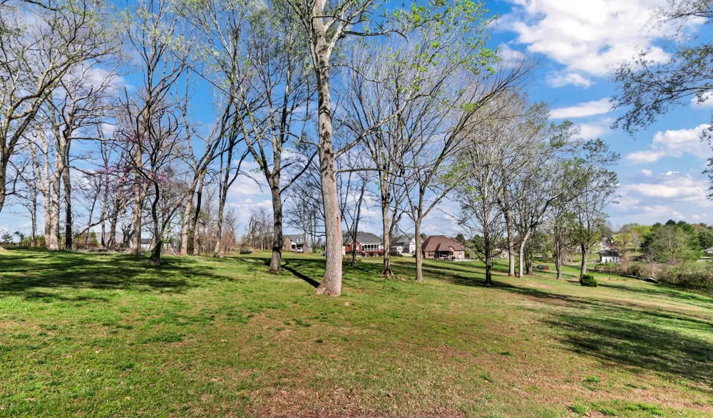 930 Doe Run Ct Adams, TN 37010