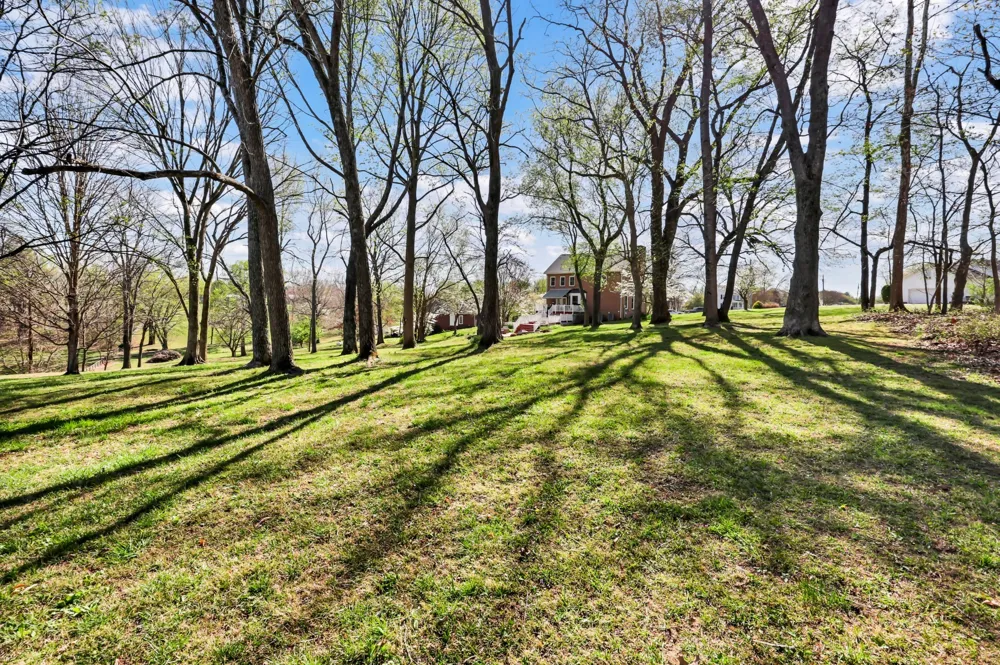 930 Doe Run Ct Adams, TN 37010