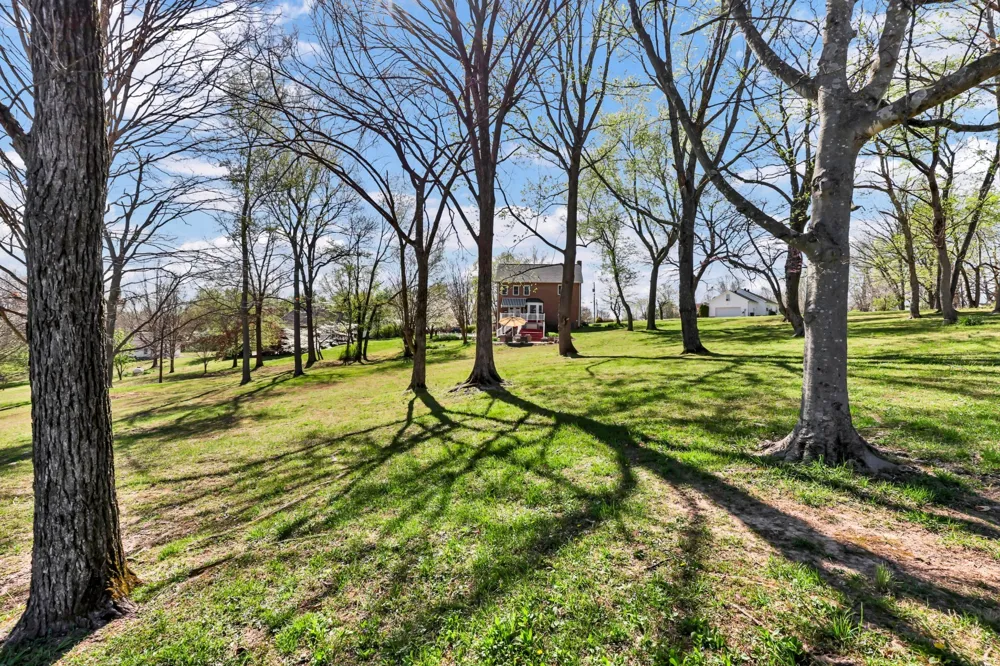 930 Doe Run Ct Adams, TN 37010