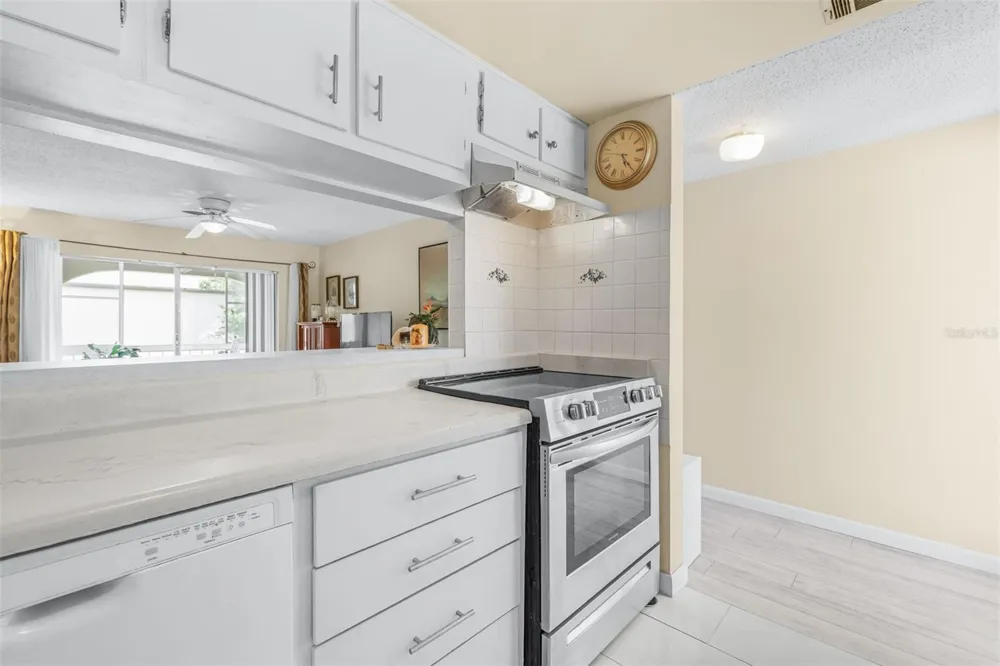7701 STARKEY ROAD #528 Seminole, FL 33777