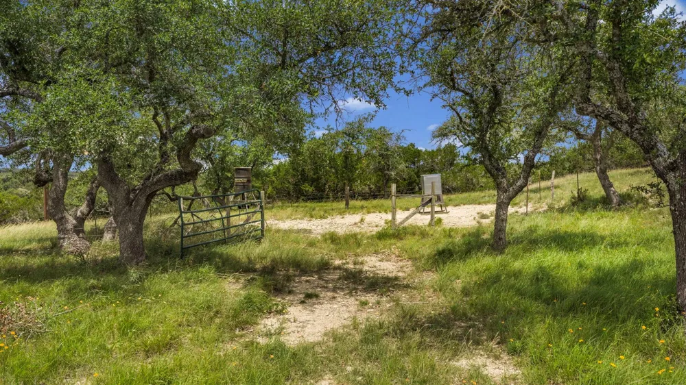 1222 Wegener Trail Fischer, TX 78623