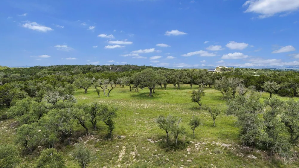 1222 Wegener Trail Fischer, TX 78623