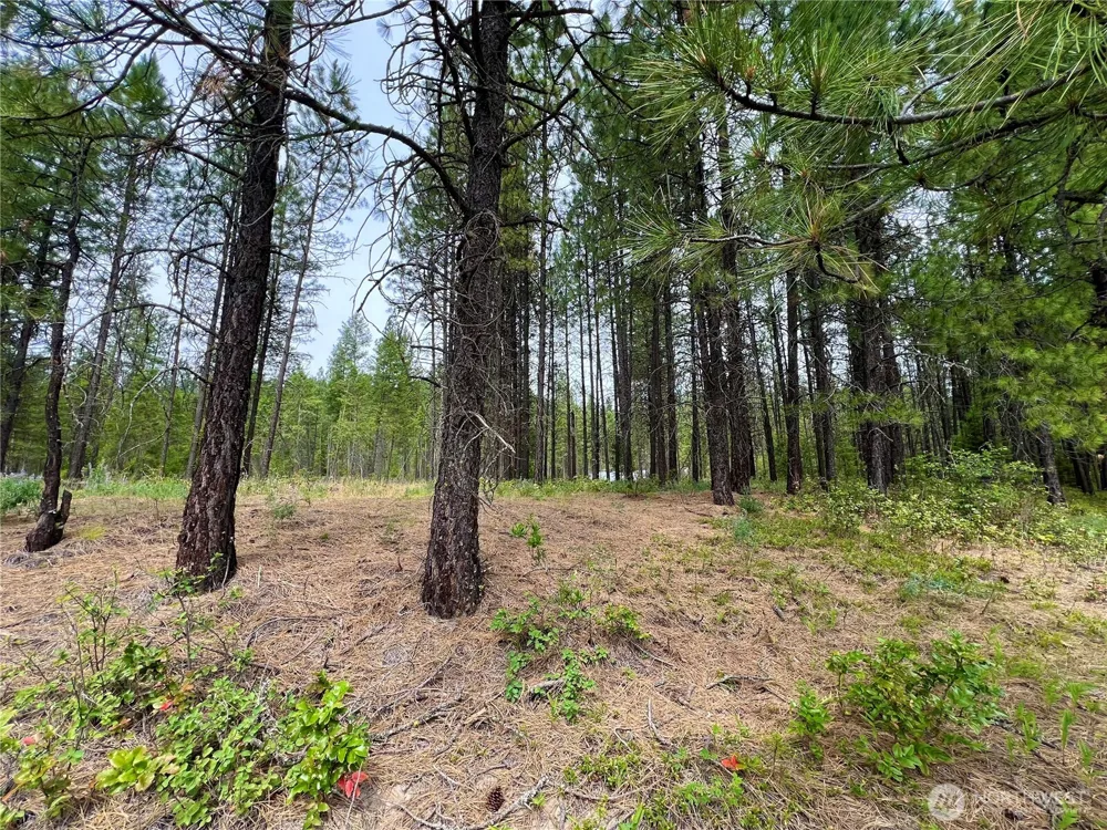 0 59TBD Siochanta Drive Kettle Falls, WA 99141
