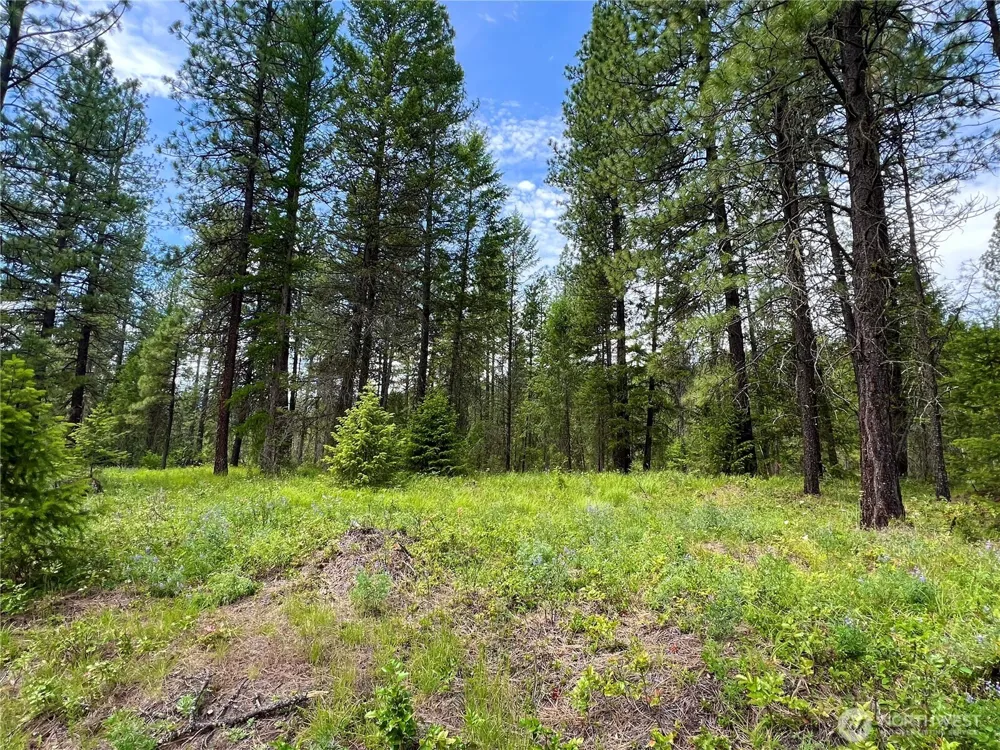 0 59TBD Siochanta Drive Kettle Falls, WA 99141