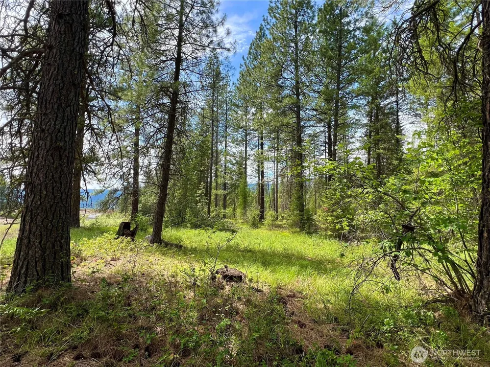 0 59TBD Siochanta Drive Kettle Falls, WA 99141