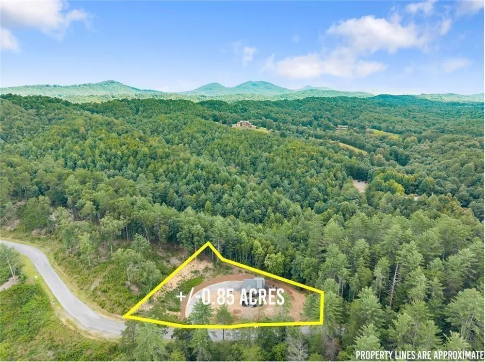 184 Mountain Laurel Ridge Mineral Bluff, GA 30559