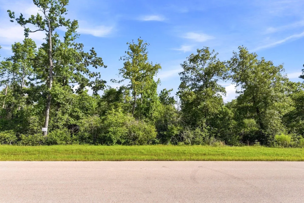 294 Iron Horse Road Willis, TX 77378